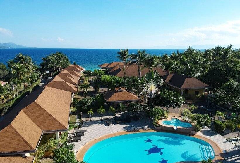 Turtle Bay Dive Resort