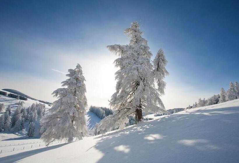 فندق Der Wilde Eder