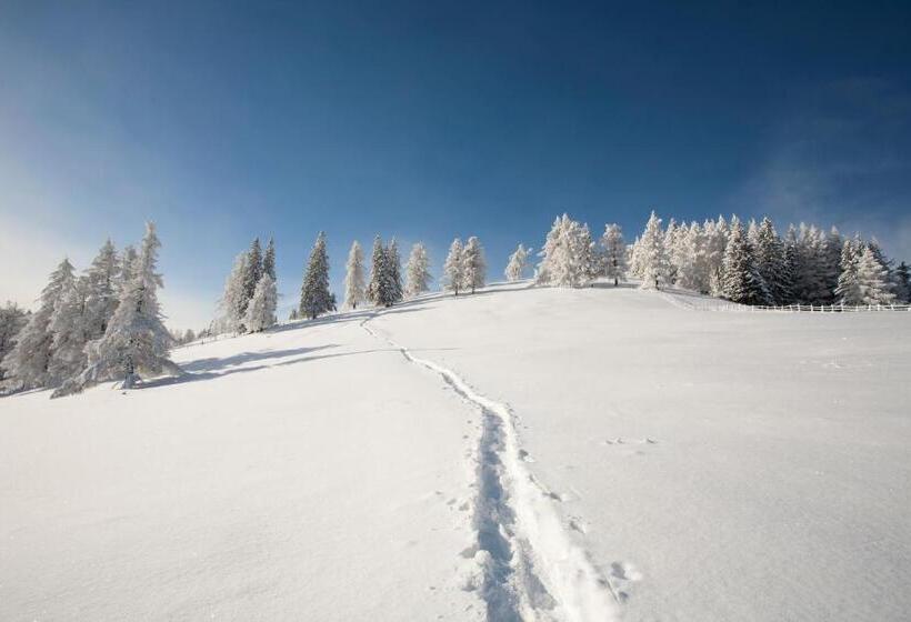 فندق Der Wilde Eder