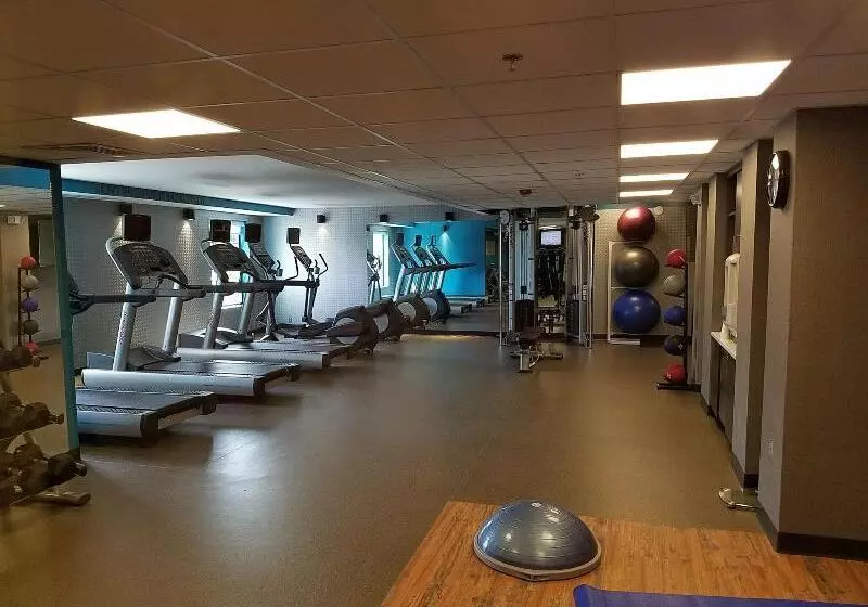 ホテル Fairfield Inn & Suites By Marriott Springfield Holyoke