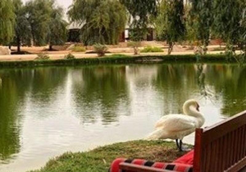 酒店 Telal Resort Al Ain