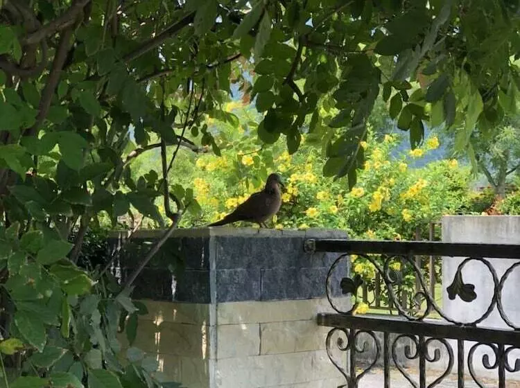Slow Fly B&b