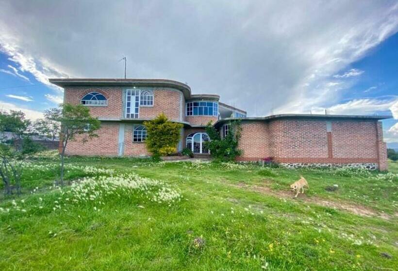 호스텔 Hostal Aztec