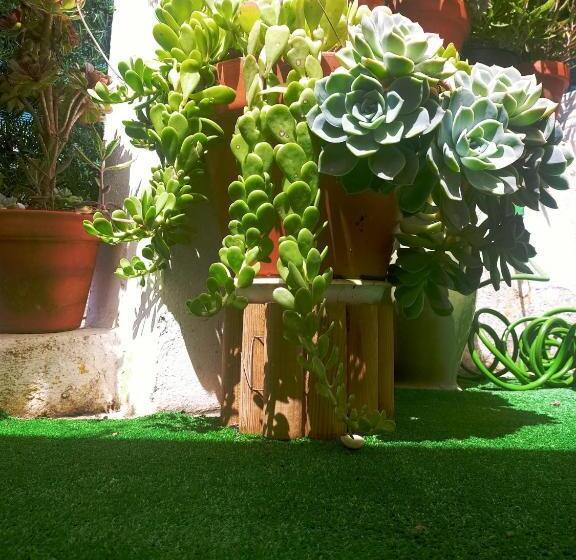 住宿加早餐  Residencial Brazen