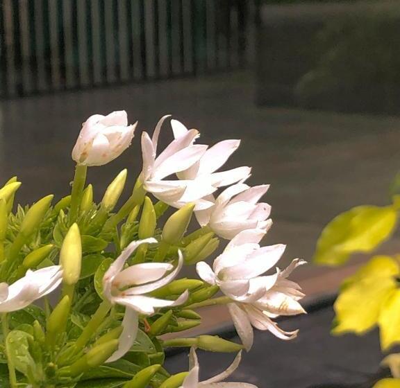 ホテル Red Letter