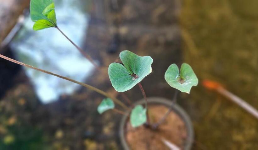 酒店 Megam Guest House