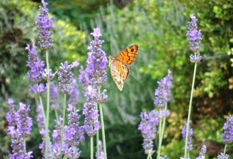 호텔 Residenza Rurale L Antico Castagneto