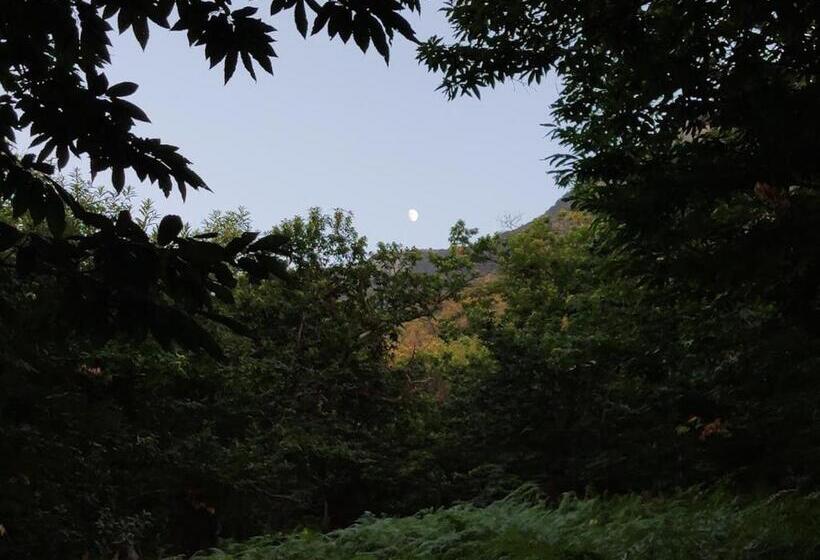 호텔 Residenza Rurale L Antico Castagneto