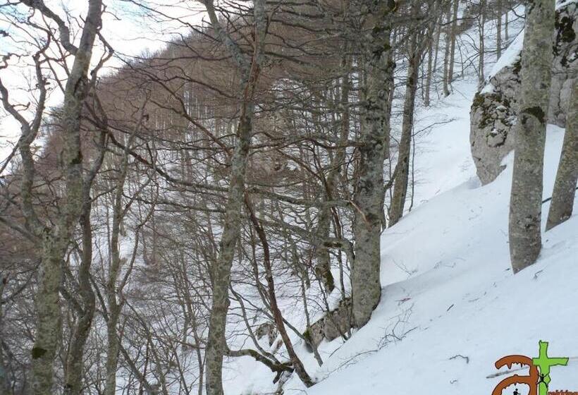 호텔 Residenza Rurale L Antico Castagneto