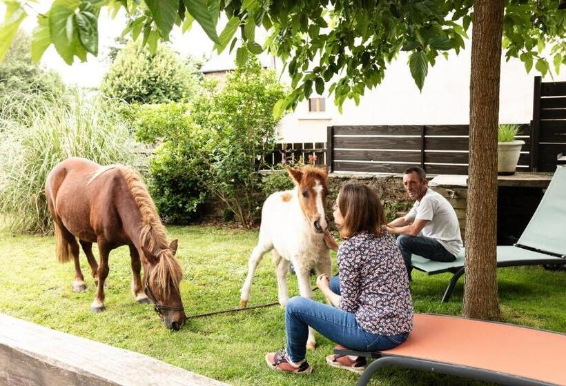 ベッドアンドブレックファースト Chambres D Hôtes Coeur De Bastié Et Ranch Du Lévézou