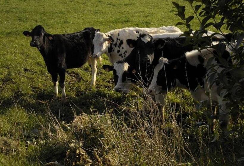 住宿加早餐  Domaine De Kerzuat