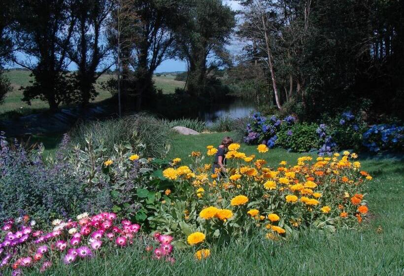 住宿加早餐  Domaine De Kerzuat