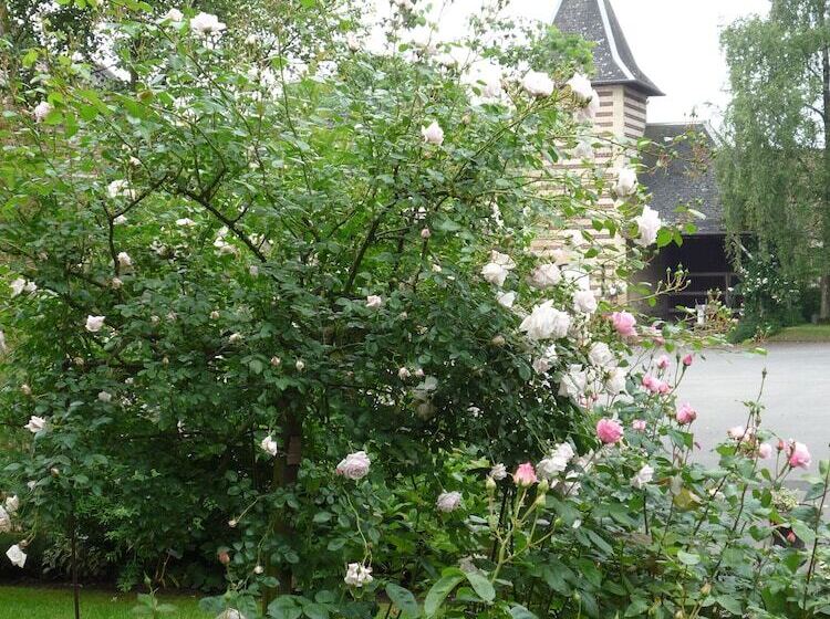 Bed and Breakfast Le Clos Xavianne