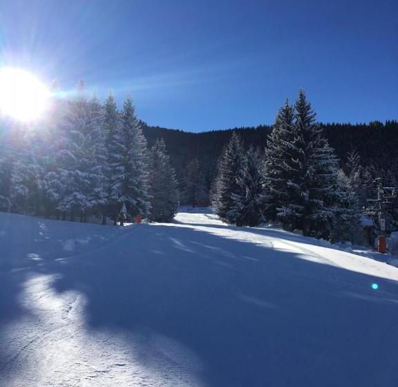 هتل Moontain Hostel