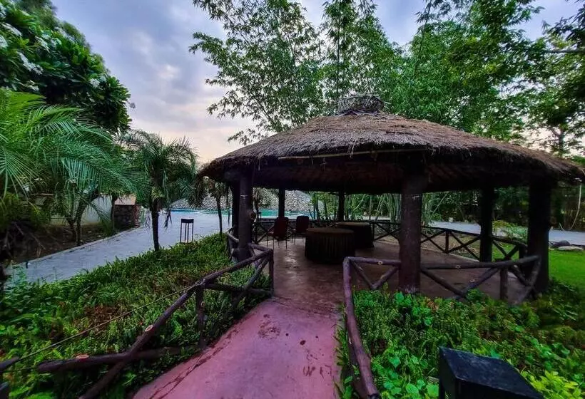The Roar Resort