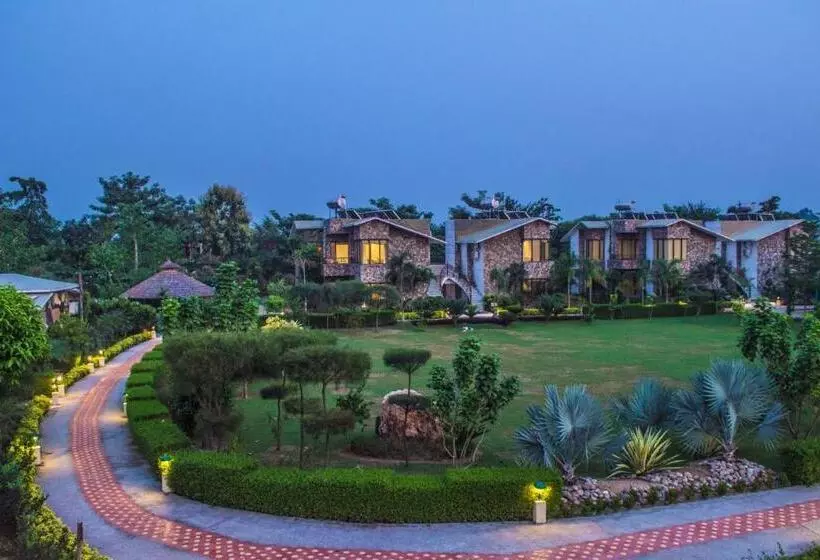 The Roar Resort