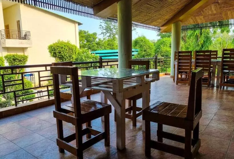 The Roar Resort