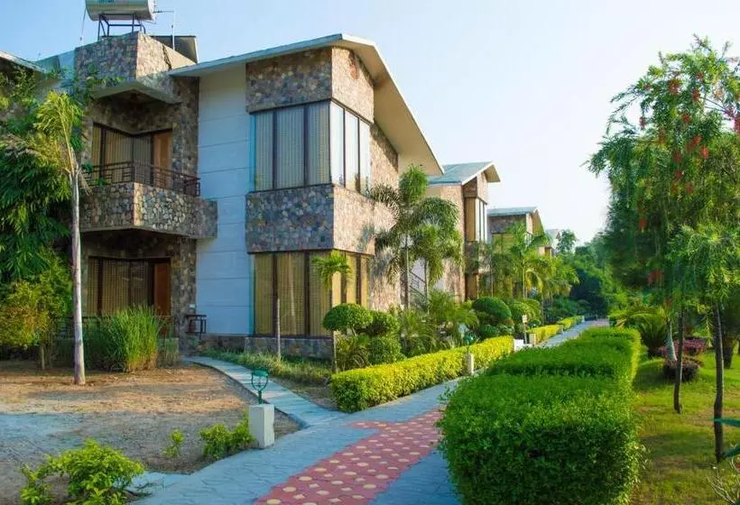The Roar Resort