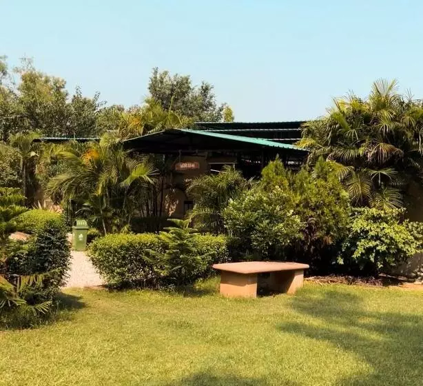 The Roar Resort