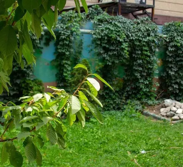 Amanat Hostel