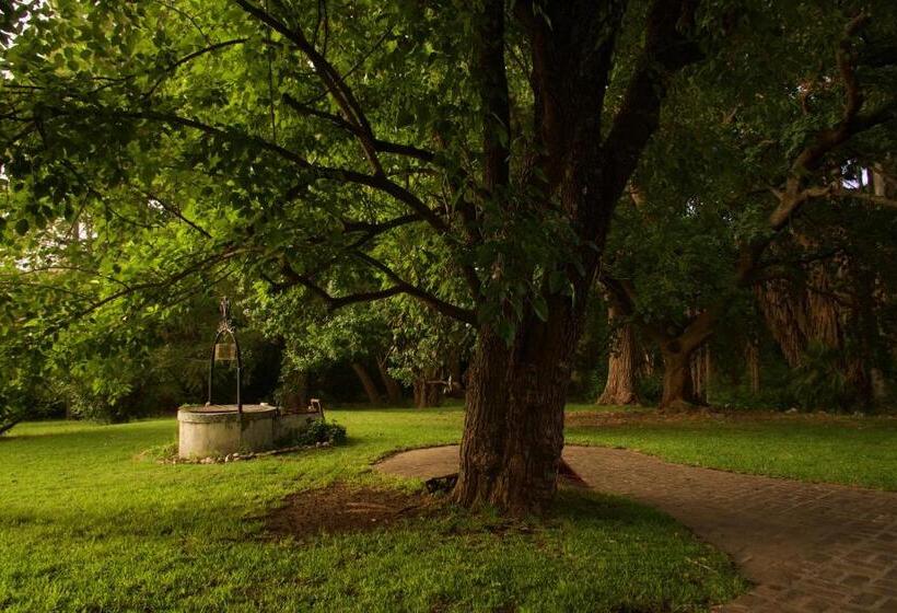 210 Casa De Huéspedes