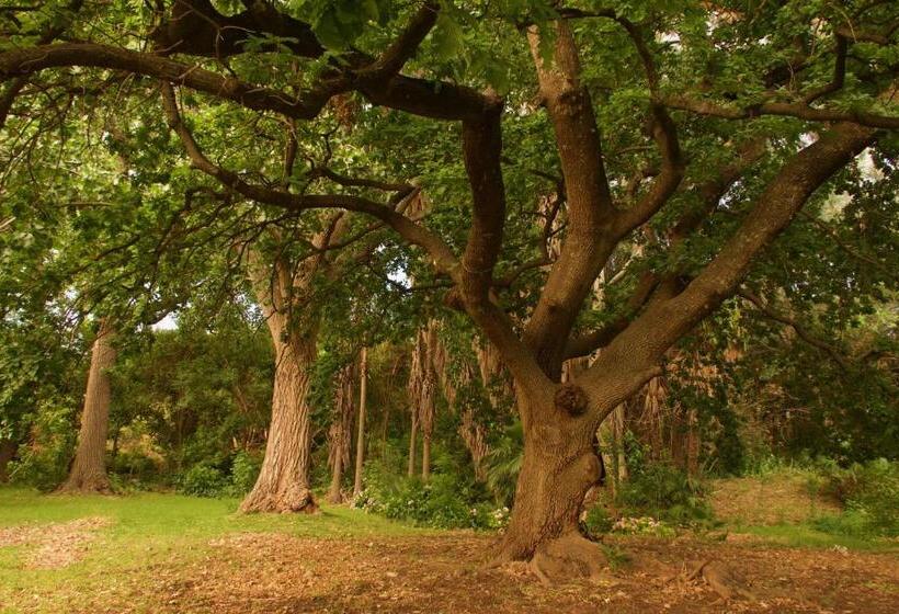 210 Casa De Huéspedes