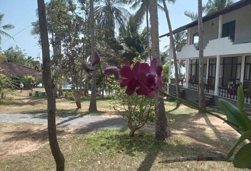 酒店 Beach Front Pool Resort