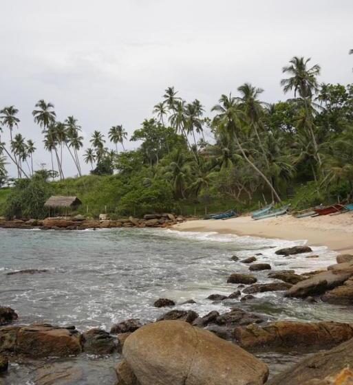 酒店 Beach Front Pool Resort