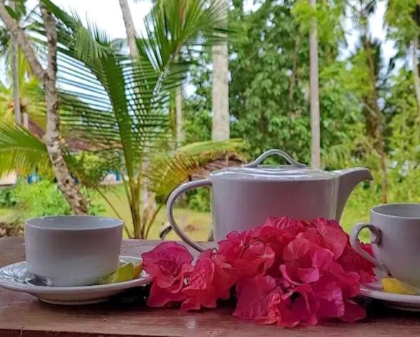 酒店 Beach Front Pool Resort