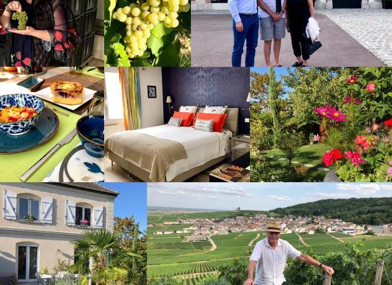 تختخواب و صبحانه Les Suites Champenoises