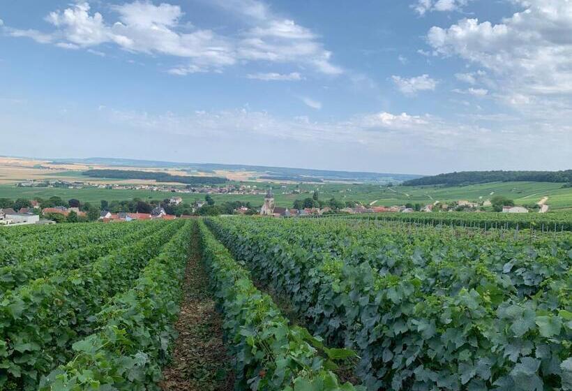 تختخواب و صبحانه Les Suites Champenoises