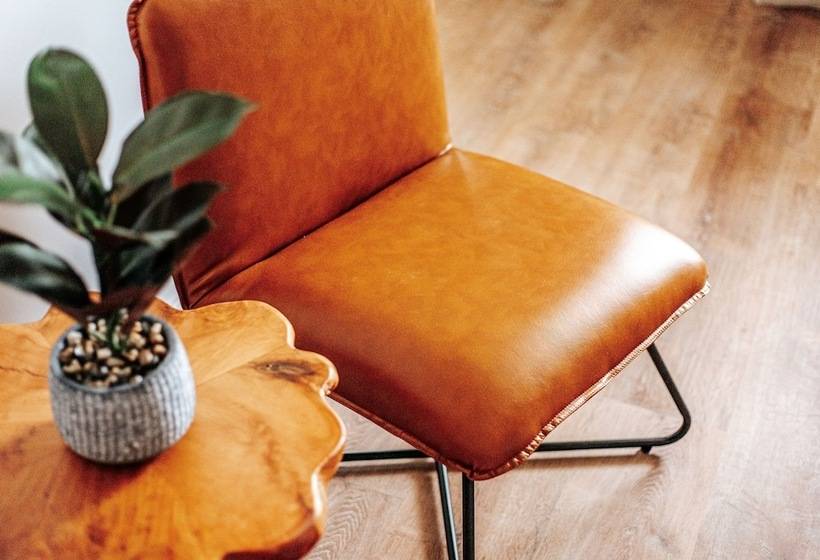 モーテル Grey Pine Lodge