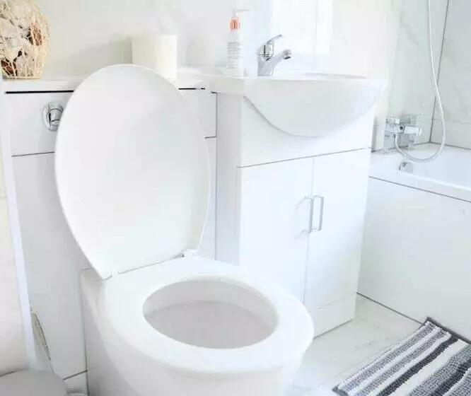 Residenssi Impeccable 3 Bed House In Plumstead, London