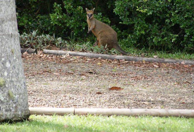 住宿加早餐 Kingfishers Manor