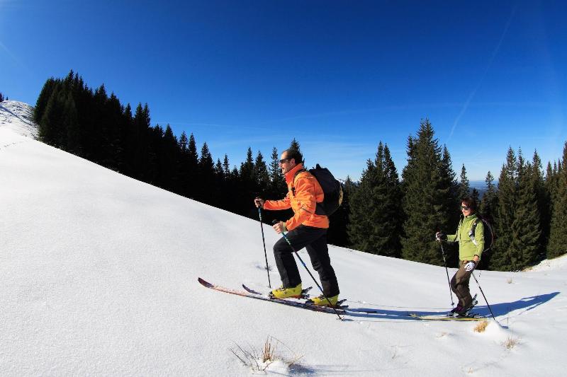 ベッドアンドブレックファースト Mammhofer Suite & Breakfast