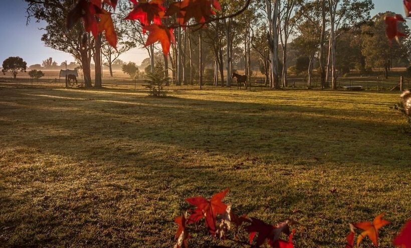 Fullcircle Farm Bed & Breakfast