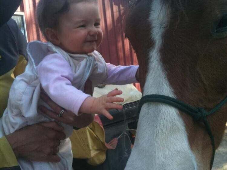 Fullcircle Farm Bed & Breakfast