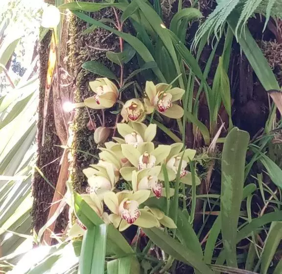 ホテル Aloha Crater Lodge