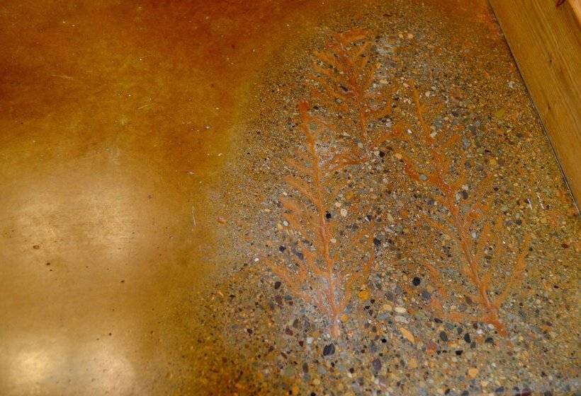 בית מלון כפרי Glacier Guides Lodge