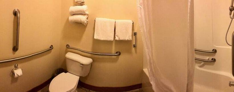 בית מלון כפרי Glacier Guides Lodge