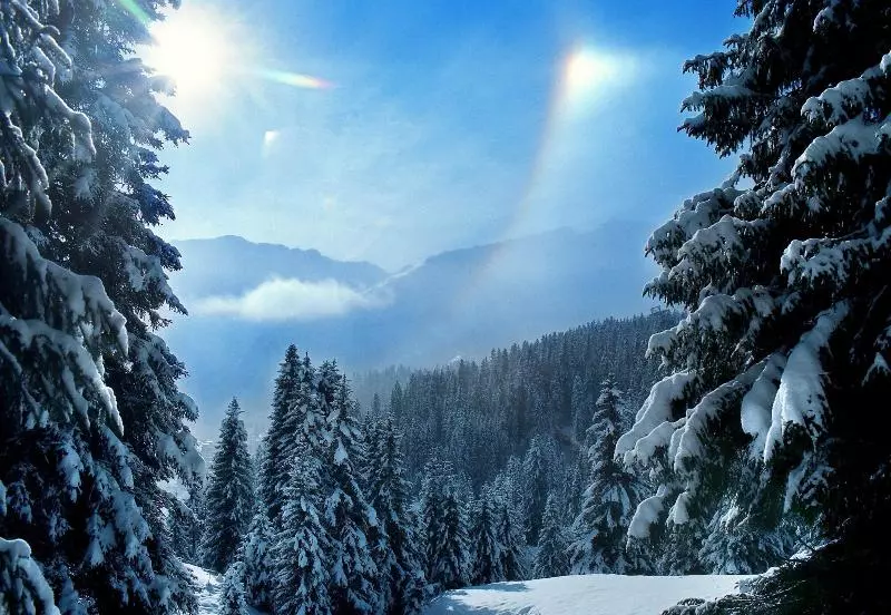 Home Hotel Arosa