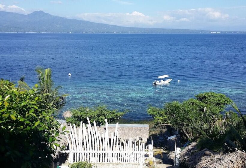 Hotel New Ocean Terrace Beach Resort