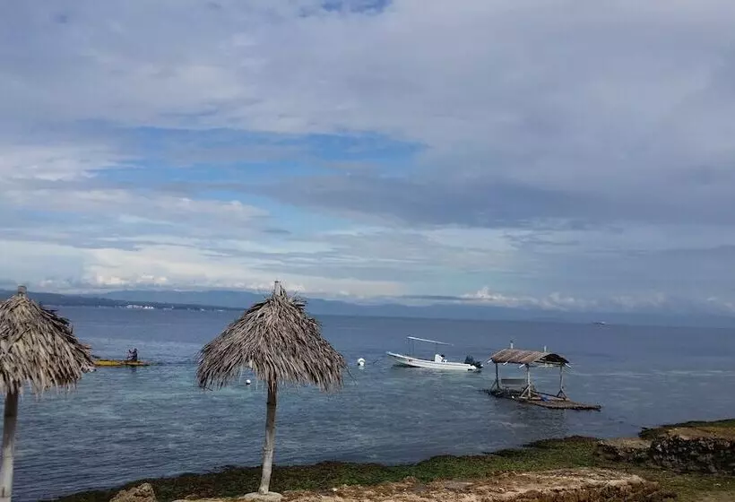 Hotelli New Ocean Terrace Beach Resort