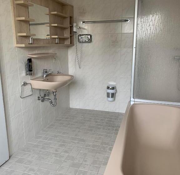 בית מלון כפרי Pension Schwansee