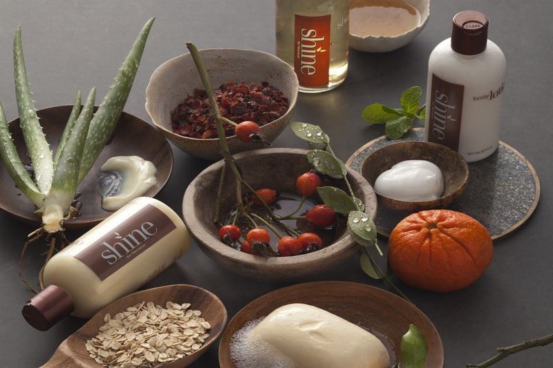 בית מלון כפרי Sheraton Grand Conakry