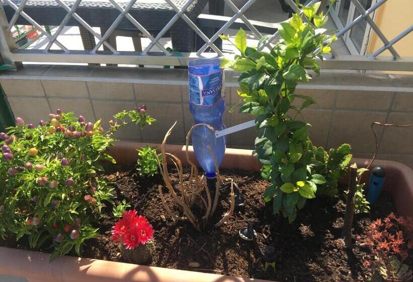 پانسیون Top Floor Rentrooms Napoli