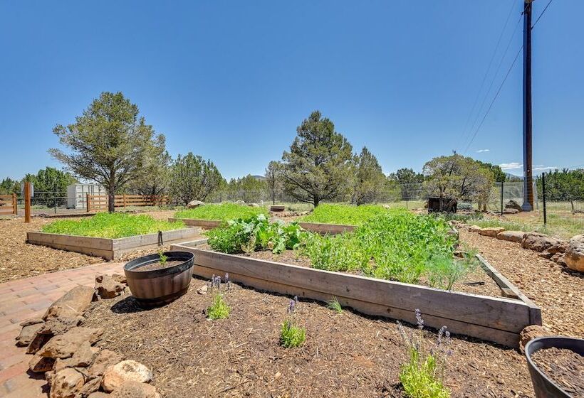 Williams Retreat W/ Patio Oasis & Mountain Views