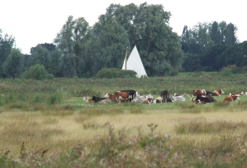 هتل Charming 1 Bed Lodge In Woodland Setting