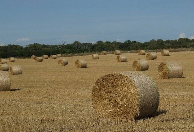 هتل Charming 1 Bed Lodge In Woodland Setting