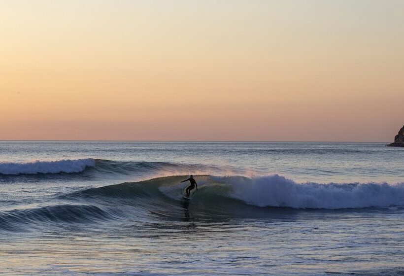 K3 Kudhva Treehouse Cabin In Tintagel